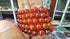 Dark Carnelian Bracelet - 8mm