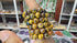 Tiger Eye Bracelet - 8mm