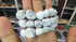 Tumbled Howlite Bracelet - 10mm