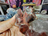 Large Deep Red Quartz Crystal Cluster from Morocco