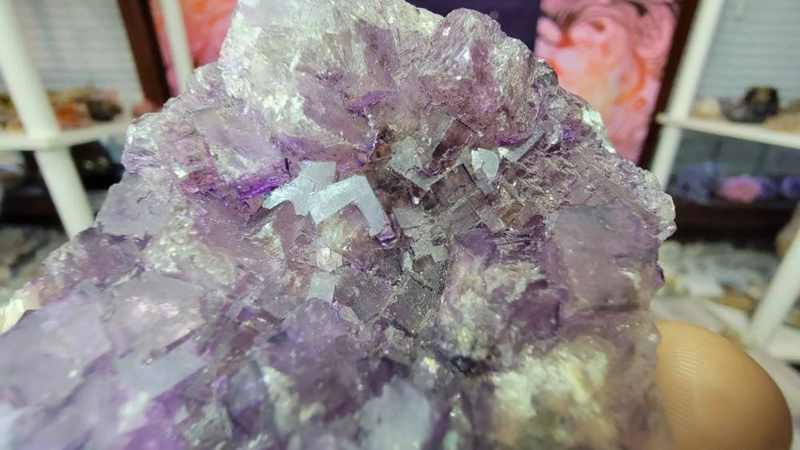 Stunning and Rare Cubic Fluorite from Mexico