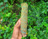 7" Large Juniper Smudge Stick