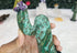 Desert Owl Cactus Carving Made With Natural Crystals