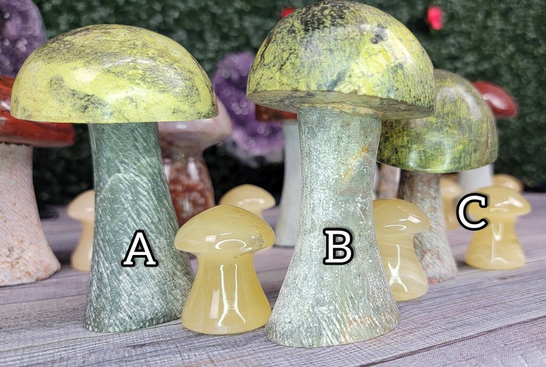 Choose Your Own Serpentine Cap Mushrooms