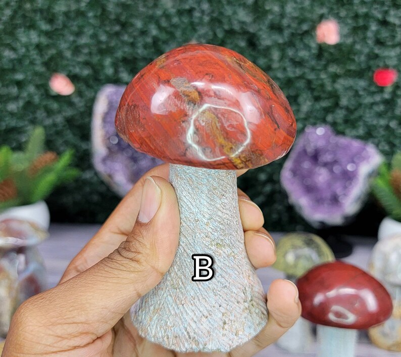 Choose Your Own Brecciated Jasper Cap Mushrooms with Soapstone Stems