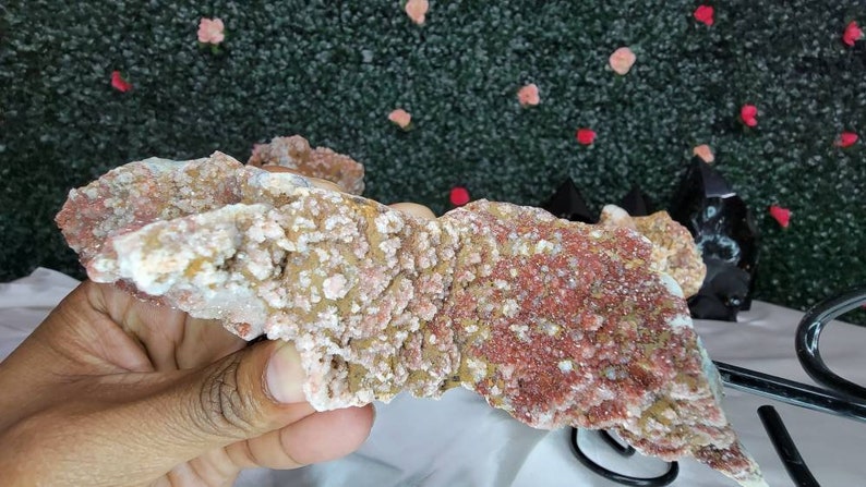 Druzy Red Pink Amethyst Specimen on Stand