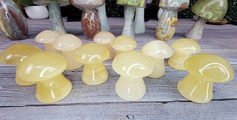 Chunky Honey Calcite Mushrooms