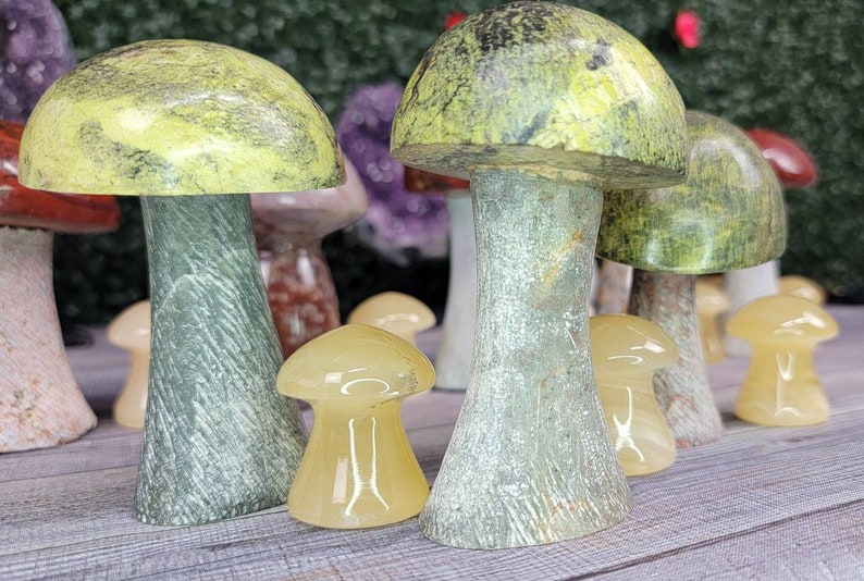 Choose Your Own Serpentine Cap Mushrooms