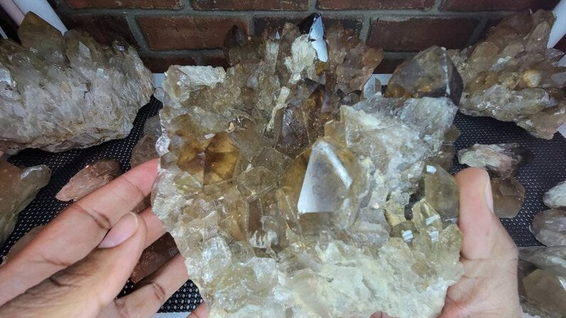 Rare 6LB Natural Untreated Citrine from the Congo - Cascading Cluster