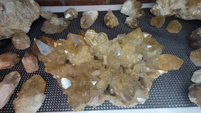 Rare 6LB Natural Untreated Citrine from the Congo - Cascading Cluster