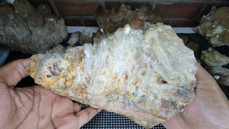 Rare 6LB Natural Untreated Citrine from the Congo - Cascading Cluster