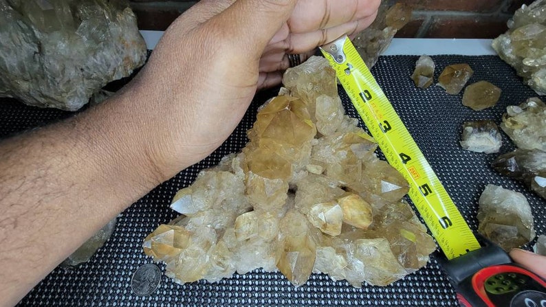 Rare 6LB Natural Untreated Citrine from the Congo - Cascading Cluster