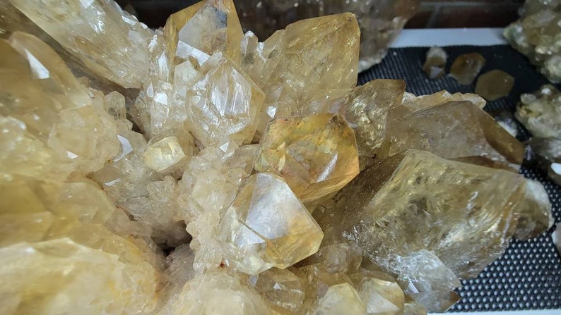 Rare 6LB Natural Untreated Citrine from the Congo - Cascading Cluster