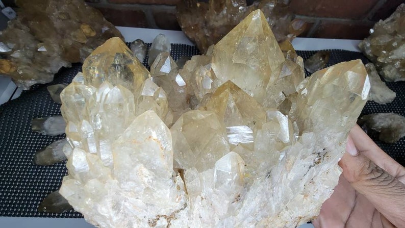 Rare 7LB Natural Untreated Citrine from the Congo - Cascading Cluster