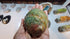 Abalone Shell 3" for Smudging