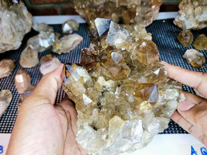 Rare 6LB Natural Untreated Citrine from the Congo - Cascading Cluster