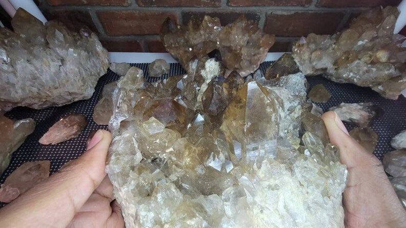 Rare 6LB Natural Untreated Citrine from the Congo - Cascading Cluster