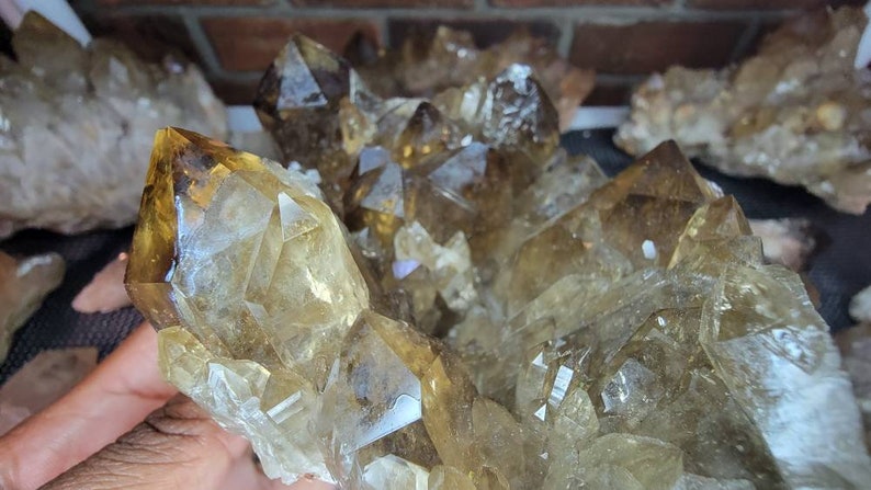 Rare 6LB Natural Untreated Citrine from the Congo - Cascading Cluster