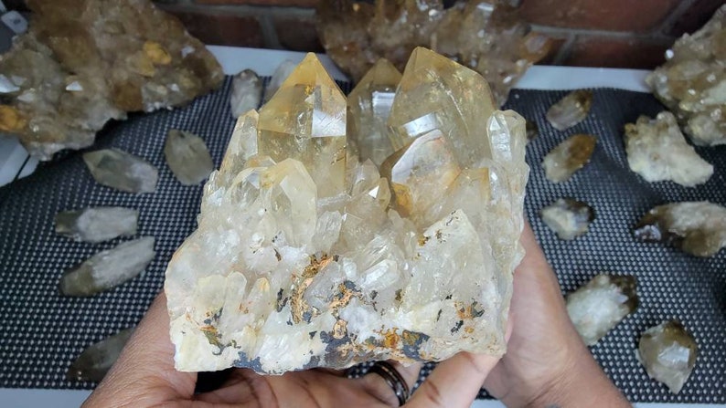 Rare 7LB Natural Untreated Citrine from the Congo - Cascading Cluster