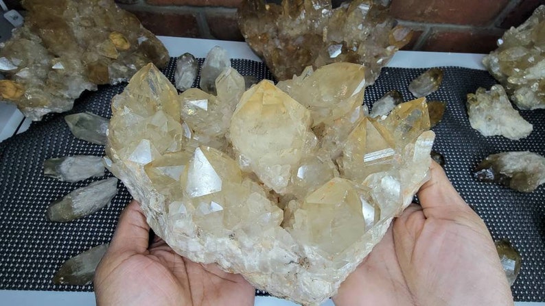 Rare 7LB Natural Untreated Citrine from the Congo - Cascading Cluster