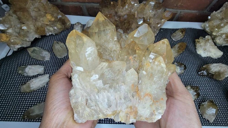 Rare 7LB Natural Untreated Citrine from the Congo - Cascading Cluster