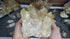 Rare 7LB Natural Untreated Citrine from the Congo - Cascading Cluster