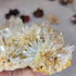 Crazy & Chaotic Lemurian Colombian Quartz Cluster