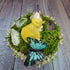 Fairy Garden Decor - Sleeping Cat in Nature with Crystals