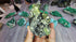 Peridot, Epidote, Black Garnet, and Calcite Combination - Collector Mineral Specimen