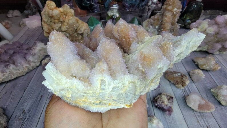 Huge 4LB Gorgeous Spirit Cactus Amethyst from South Africa