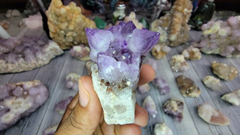 Dark Purple Spirit Cactus Amethyst from South Africa