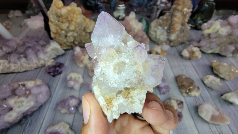 Receive This Exact Spirit Cactus Amethyst with Limonite from South Africa
