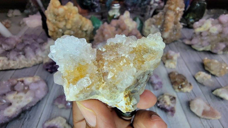 Receive This Exact Spirit Cactus Amethyst with Limonite from South Africa