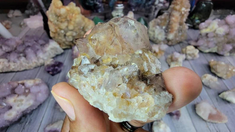 Receive This Exact Smoky Spirit Cactus Amethyst with Limonite from South Africa