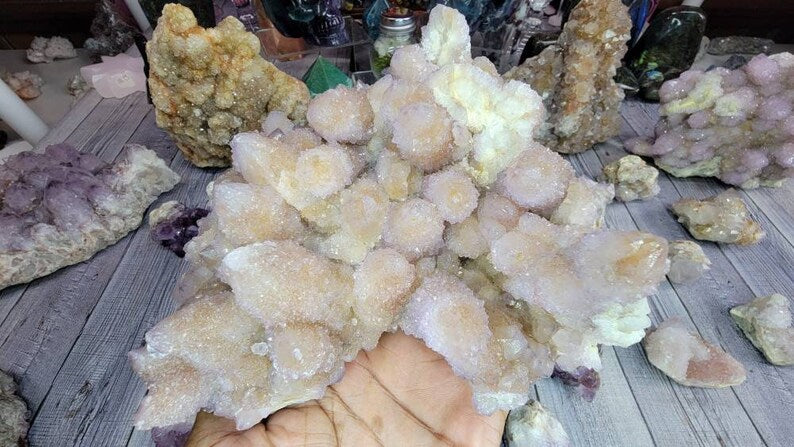Huge 4LB Gorgeous Spirit Cactus Amethyst from South Africa