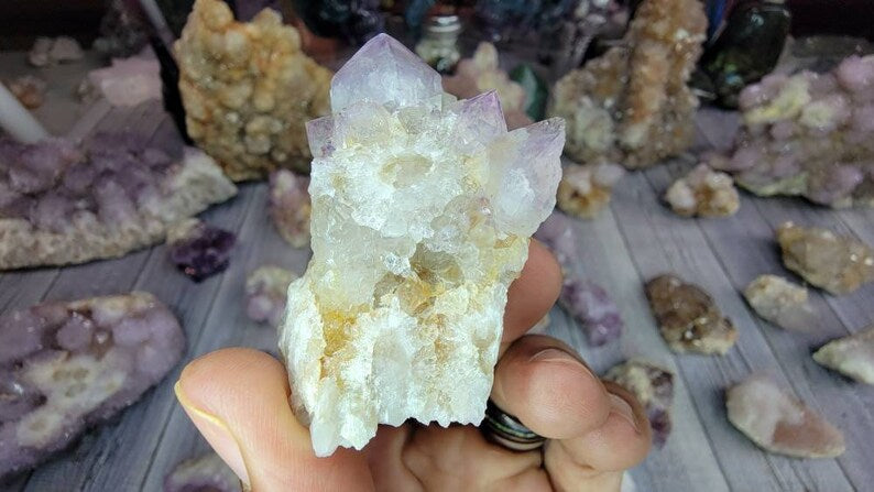 Receive This Exact Spirit Cactus Amethyst with Limonite from South Africa