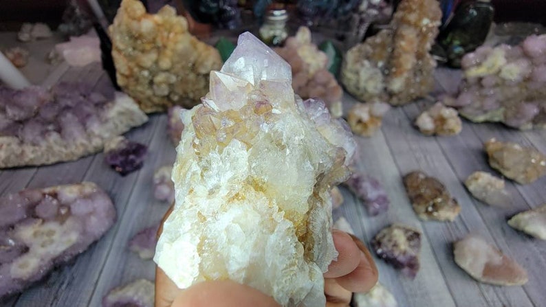 Receive This Exact Spirit Cactus Amethyst with Limonite from South Africa