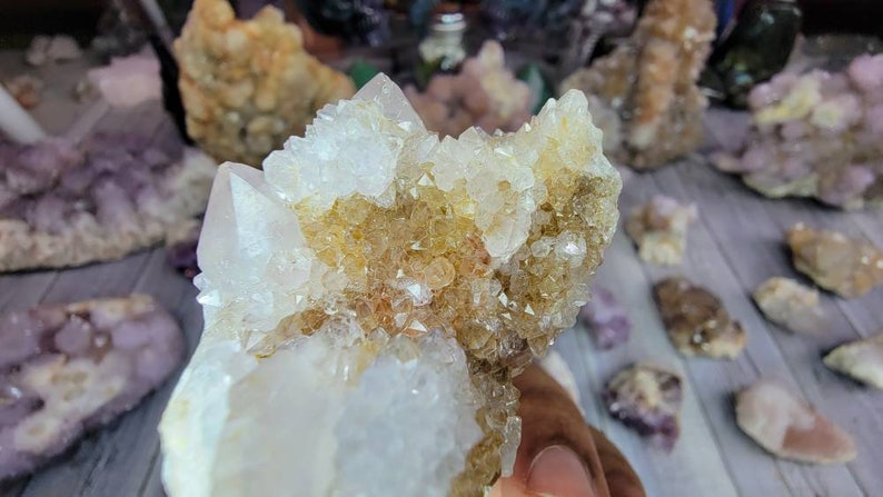 Receive This Exact Spirit Cactus Amethyst with Limonite from South Africa