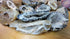 Mini Natural Ocos Geodes Halves Polished - Receive a Mystery Geode Half