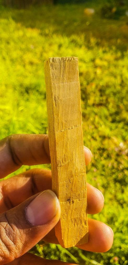 Palo Santo Sticks 4 - 5"