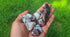 Pink Tourmaline Tumbled