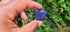 Sodalite Tumbled