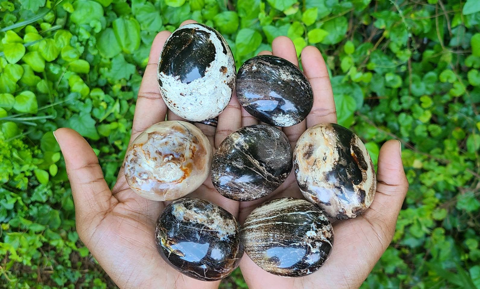 Black Opal Palmstones from Madagascar