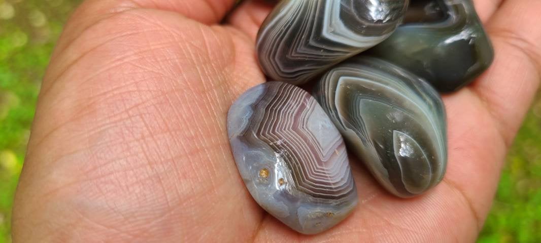 Botswana Agate Tumbled