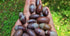 Mini Shiva Lingam Stones